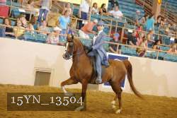 15YN_13504 thumbnail