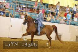 15YN_13505 thumbnail