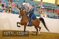 15YN_13506 thumbnail