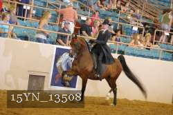 15YN_13508 thumbnail