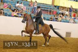 15YN_13511 thumbnail
