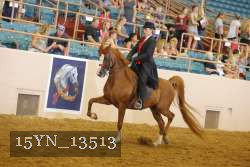 15YN_13513 thumbnail