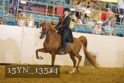 15YN_13514 thumbnail