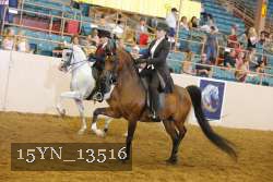 15YN_13516 thumbnail