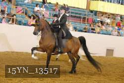 15YN_13517 thumbnail