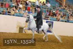 15YN_13520 thumbnail