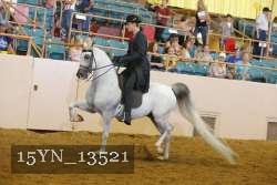 15YN_13521 thumbnail