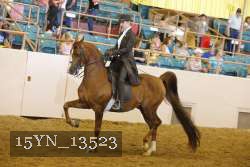 15YN_13523 thumbnail