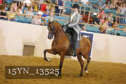 15YN_13525 thumbnail