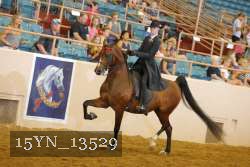 15YN_13529 thumbnail