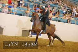 15YN_13532 thumbnail