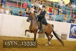 15YN_13533 thumbnail