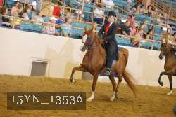 15YN_13536 thumbnail