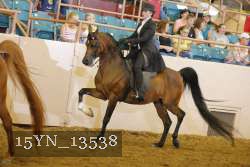 15YN_13538 thumbnail