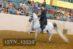 15YN_13539 thumbnail