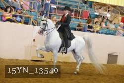 15YN_13540 thumbnail