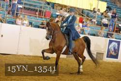 15YN_13541 thumbnail