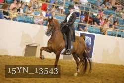 15YN_13543 thumbnail