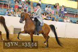 15YN_13544 thumbnail