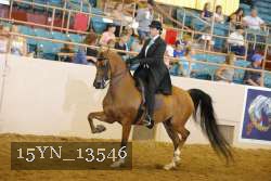 15YN_13546 thumbnail