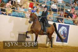 15YN_13548 thumbnail