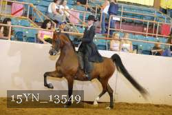15YN_13549 thumbnail