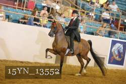15YN_13552 thumbnail