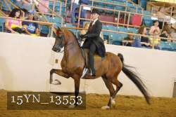 15YN_13553 thumbnail