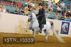 15YN_13555 thumbnail