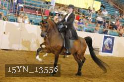 15YN_13556 thumbnail