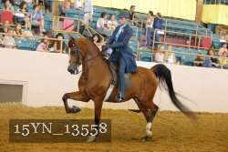 15YN_13558 thumbnail