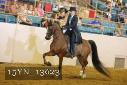 15YN_13623 thumbnail