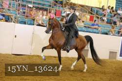 15YN_13624 thumbnail