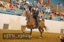 15YN_13629 thumbnail