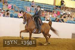15YN_13631 thumbnail