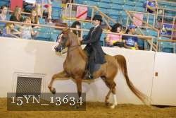 15YN_13634 thumbnail