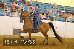 15YN_13635 thumbnail