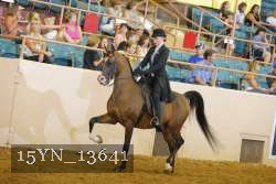 15YN_13641 thumbnail