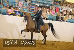 15YN_13643 thumbnail