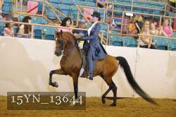 15YN_13644 thumbnail