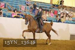 15YN_13646 thumbnail