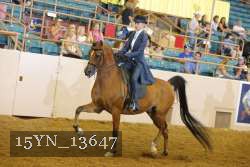 15YN_13647 thumbnail