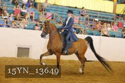 15YN_13649 thumbnail
