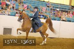 15YN_13651 thumbnail