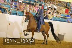 15YN_13652 thumbnail