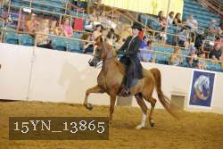 15YN_13865 thumbnail
