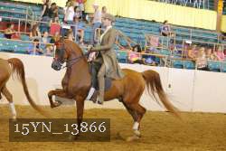 15YN_13866 thumbnail