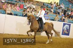 15YN_13867 thumbnail