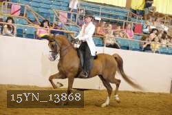 15YN_13868 thumbnail