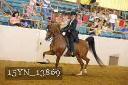 15YN_13869 thumbnail